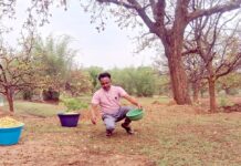 गर्मी की दस्तक के साथ जंगलों में महुआ की हलचल तेज