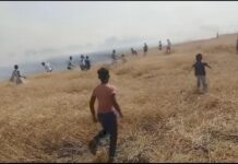 भीषण आग की चपेट में पलासबोना: कई एकड़ में लगी गेहूं की फसल जलकर राख