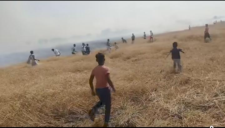 भीषण आग की चपेट में पलासबोना: कई एकड़ में लगी गेहूं की फसल जलकर राख