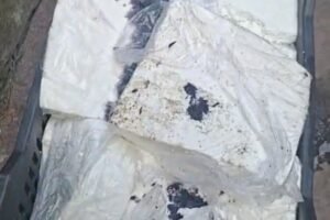धनबाद में त्योहारों से पहले बड़ा खुलासा! 1400 किलो संदिग्ध पनीर जब्त, 3 लोग हिरासत मे