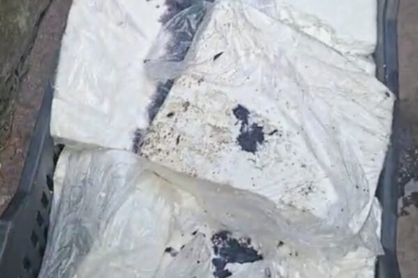 धनबाद में त्योहारों से पहले बड़ा खुलासा! 1400 किलो संदिग्ध पनीर जब्त, 3 लोग हिरासत मे