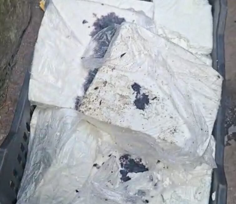 धनबाद में त्योहारों से पहले बड़ा खुलासा! 1400 किलो संदिग्ध पनीर जब्त, 3 लोग हिरासत मे
